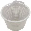 CMP - Skimmer Basket Generic Replacement For B-9, Hayward SP1070 -US Swimming Pool Sales 2024 Skimmer Basket Generic Replacement for B 9 Hayward SP1070